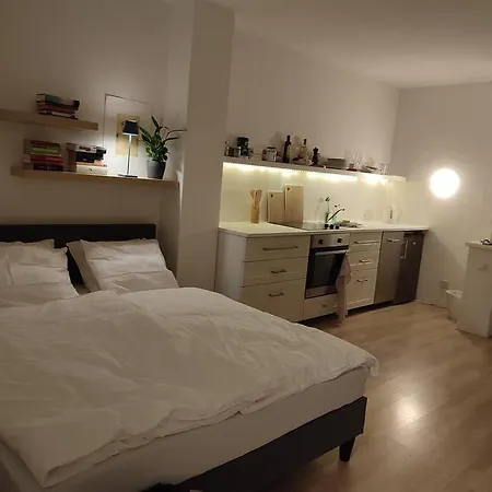 Mit Terrasse In Zentraler Lage شقة *