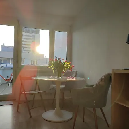 Appartement Mit Terrasse In Zentraler Lage