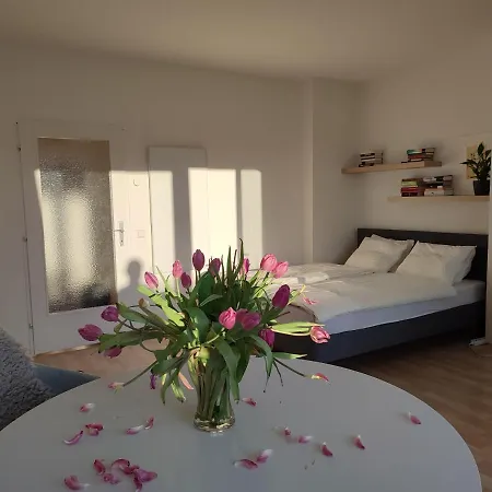 Apartman Mit Terrasse In Zentraler Lage Graz
