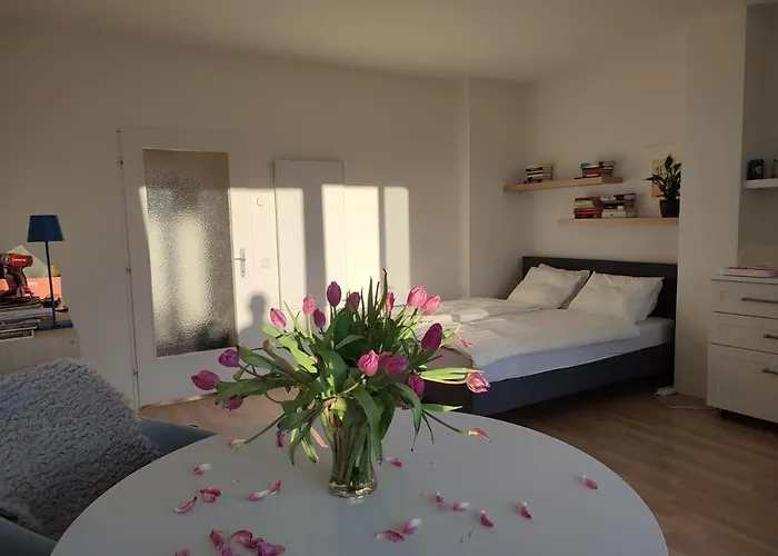 Apartment Mit Terrasse In Zentraler Lage Graz